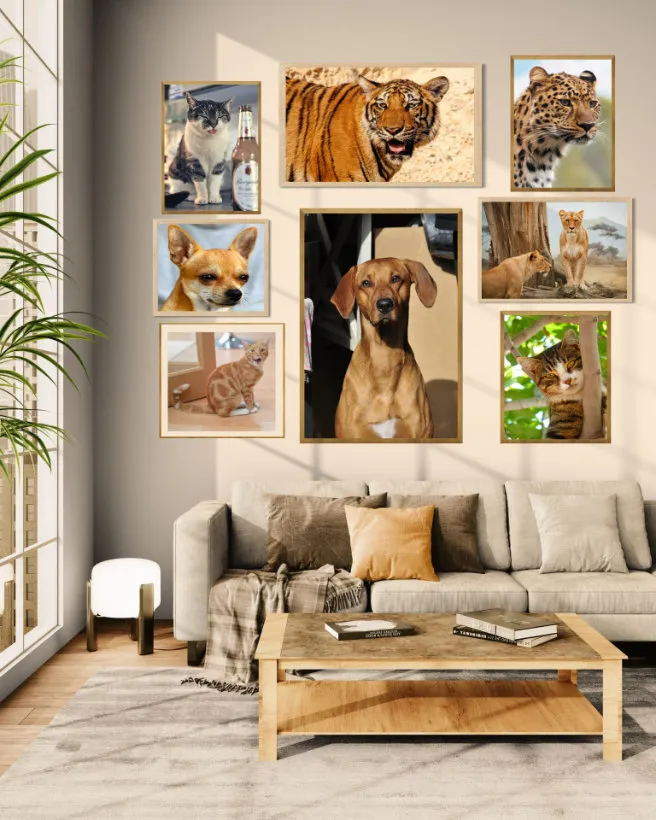 Jetview Art Prints